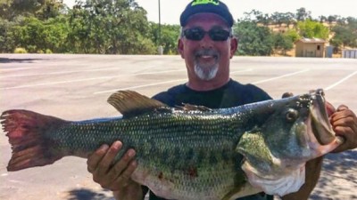 california-big-bass_0.jpg